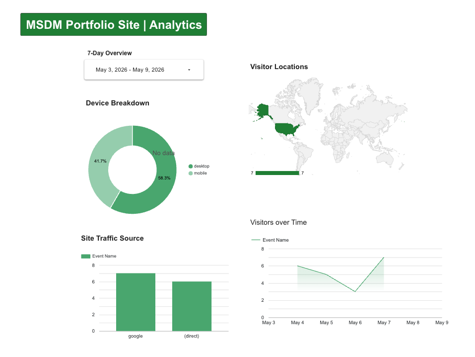 MSDM Portfolio Site Analytics